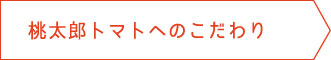 桃太郎トマトへのこだわり