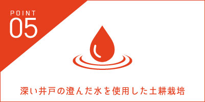深い井戸の澄んだ水を使用した土耕栽培