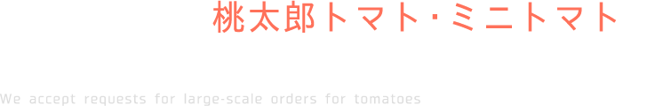 菅谷農園では桃太郎トマト・ミニトマトの大口注文のご依頼を承っております
